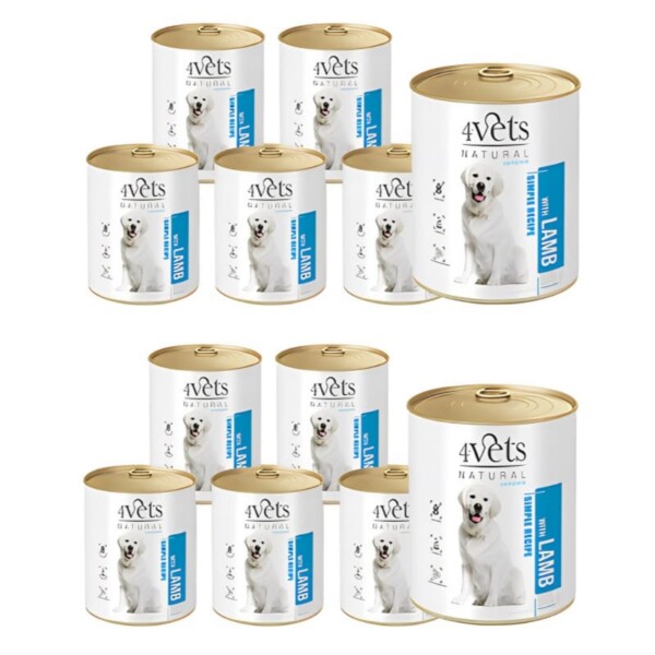 4VETS NATURAL - DOG LAMB 400GR - Image 5