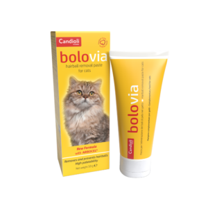 BOLO VIA paste 50 gr